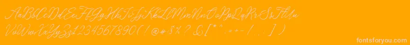 RosabeliaSldt Font – Pink Fonts on Orange Background