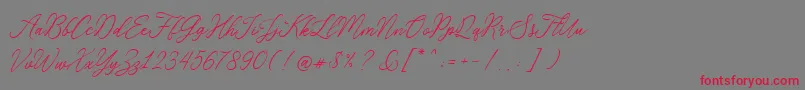 RosabeliaSldt Font – Red Fonts on Gray Background