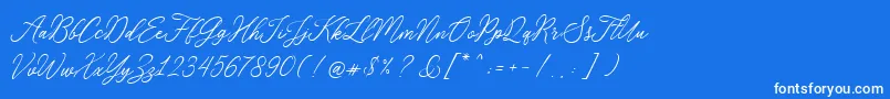 RosabeliaSldt Font – White Fonts on Blue Background