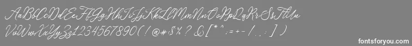 RosabeliaSldt Font – White Fonts on Gray Background