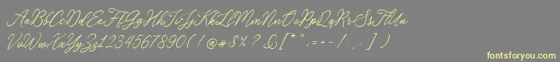 RosabeliaSldt Font – Yellow Fonts on Gray Background