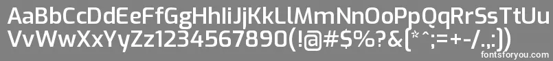 フォントExoSemibold – 灰色の背景に白い文字