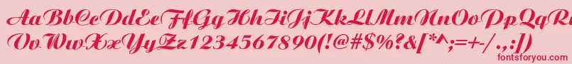 Ariston Font – Red Fonts on Pink Background