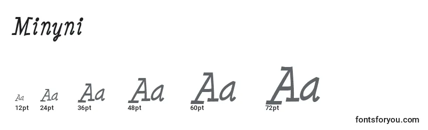 Размеры шрифта Minyni