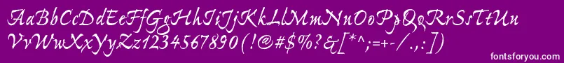 ExpontoproBold Font – White Fonts on Purple Background