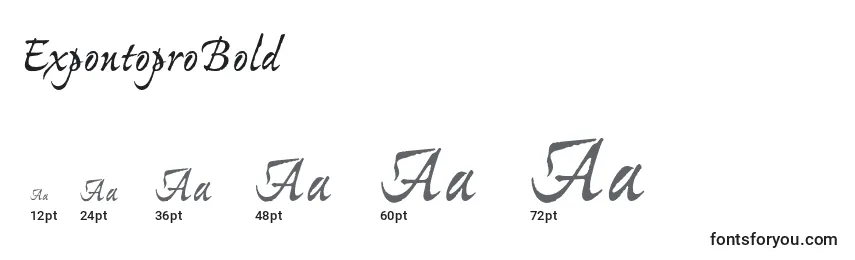 ExpontoproBold Font Sizes