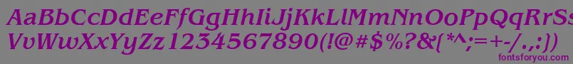 BenjaminMediumitalic Font – Purple Fonts on Gray Background