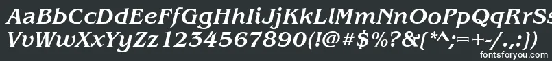 フォントBenjaminMediumitalic – 白い文字