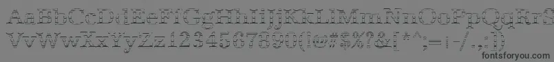 AntiquagoRegular Font – Black Fonts on Gray Background