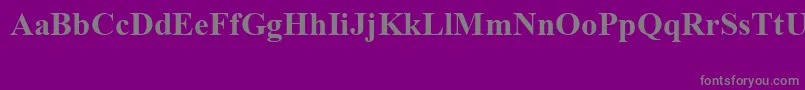 Czcionka TimesNewRomanSpecialG1Bold – szare czcionki na fioletowym tle