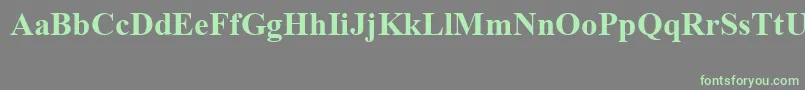 TimesNewRomanSpecialG1Bold-Schriftart – Grüne Schriften auf grauem Hintergrund