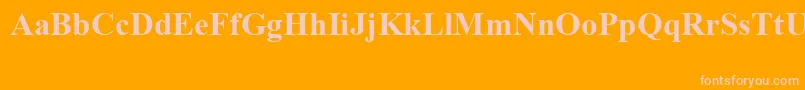 TimesNewRomanSpecialG1Bold Font – Pink Fonts on Orange Background