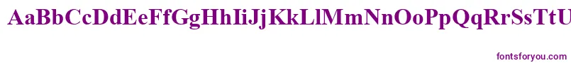 TimesNewRomanSpecialG1Bold Font – Purple Fonts
