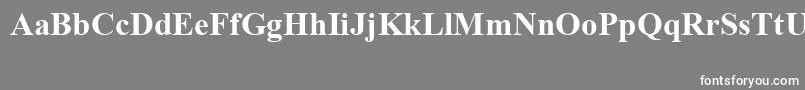 フォントTimesNewRomanSpecialG1Bold – 灰色の背景に白い文字