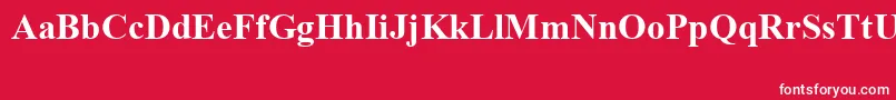 フォントTimesNewRomanSpecialG1Bold – 赤い背景に白い文字