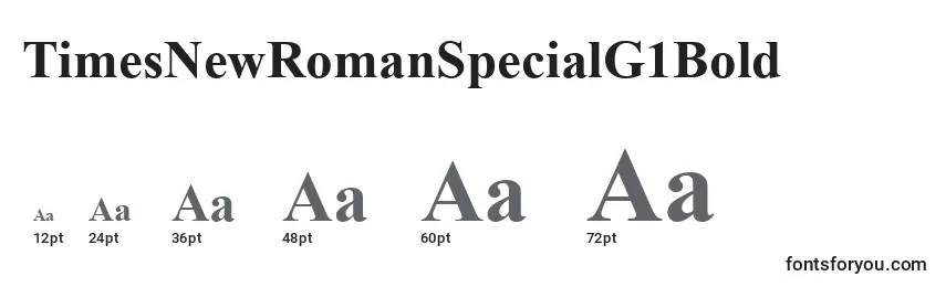 TimesNewRomanSpecialG1Bold Font Sizes