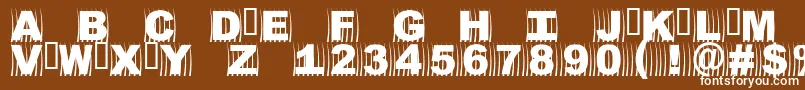 Oszics Font – White Fonts on Brown Background