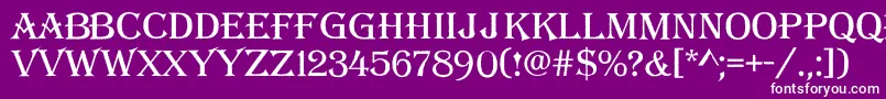 Alger14 Font – White Fonts on Purple Background