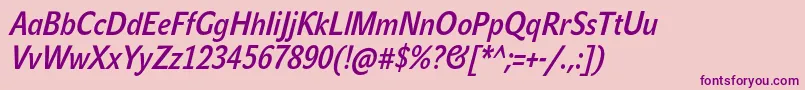 JohnsanscondLiteProBoldItalic Font – Purple Fonts on Pink Background