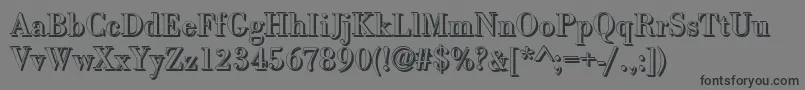 BodonishRegular Font – Black Fonts on Gray Background