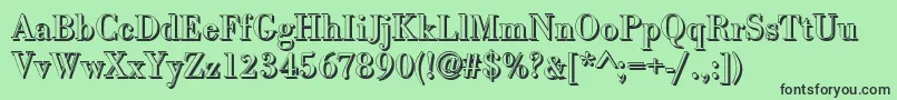 BodonishRegular Font – Black Fonts on Green Background