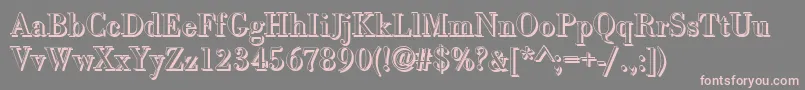BodonishRegular Font – Pink Fonts on Gray Background