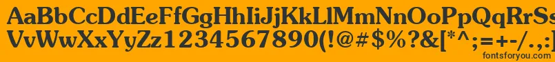 Suevermeer6Demish Font – Black Fonts on Orange Background