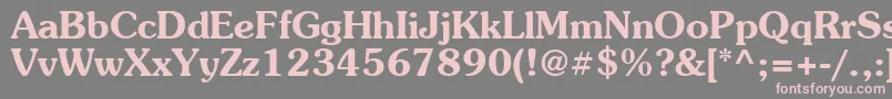 Suevermeer6Demish Font – Pink Fonts on Gray Background