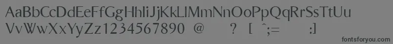BordiniUnregistered Font – Black Fonts on Gray Background