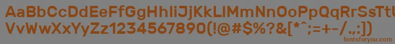 RubikMedium Font – Brown Fonts on Gray Background
