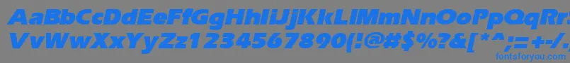 ErgoeblackItalic Font – Blue Fonts on Gray Background