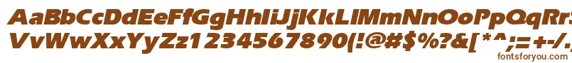 ErgoeblackItalic Font – Brown Fonts