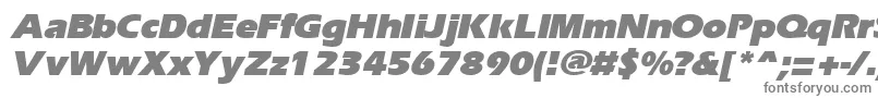 Шрифт ErgoeblackItalic – серые шрифты