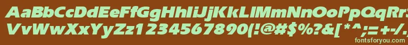 ErgoeblackItalic Font – Green Fonts on Brown Background