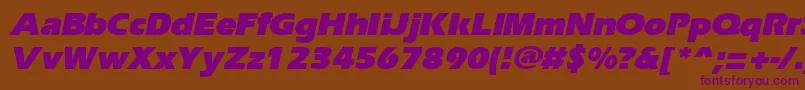 ErgoeblackItalic Font – Purple Fonts on Brown Background