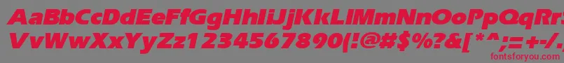フォントErgoeblackItalic – 赤い文字の灰色の背景