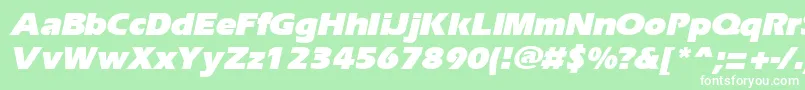 ErgoeblackItalic Font – White Fonts on Green Background