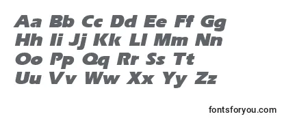 ErgoeblackItalic Font