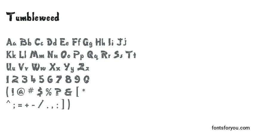 A fonte Tumbleweed – alfabeto, números, caracteres especiais