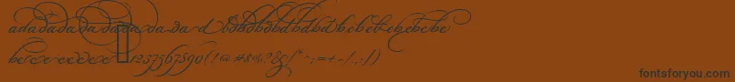 BickhamScriptAltOne Font – Black Fonts on Brown Background