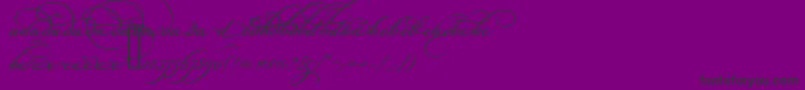 fuente BickhamScriptAltOne – Fuentes Negras Sobre Fondo Morado