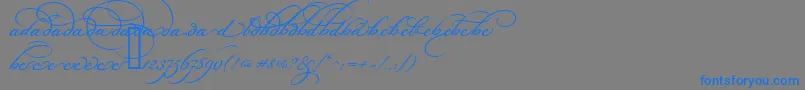 fuente BickhamScriptAltOne – Fuentes Azules Sobre Fondo Gris