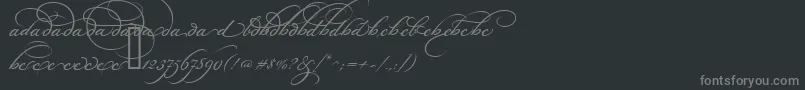 BickhamScriptAltOne Font – Gray Fonts on Black Background