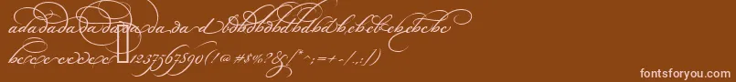 BickhamScriptAltOne-Schriftart – Rosa Schriften auf braunem Hintergrund