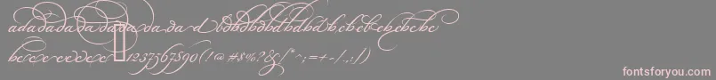 フォントBickhamScriptAltOne – 灰色の背景にピンクのフォント