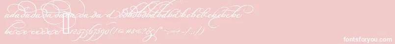BickhamScriptAltOne Font – White Fonts on Pink Background