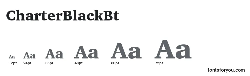 CharterBlackBt Font Sizes