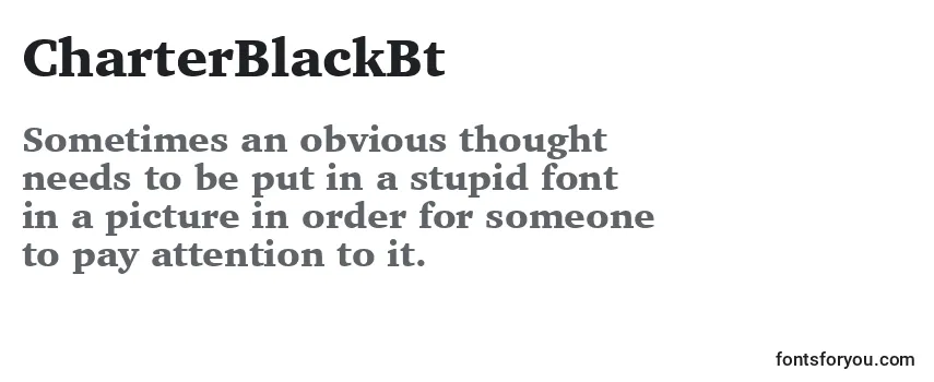 Review of the CharterBlackBt Font