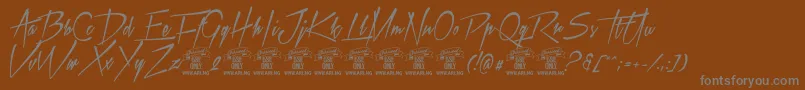 Xtreem2Personaluse Font – Gray Fonts on Brown Background