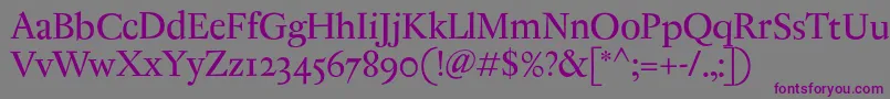 Шрифт AntiqueRegent – фиолетовые шрифты на сером фоне